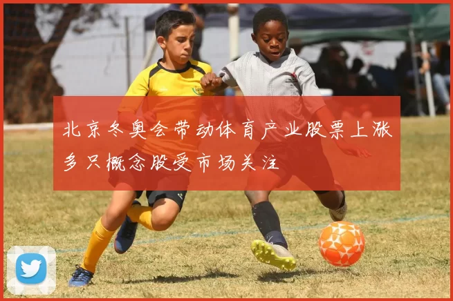 北京冬奥会带动体育产业股票上涨多只概念股受市场关注