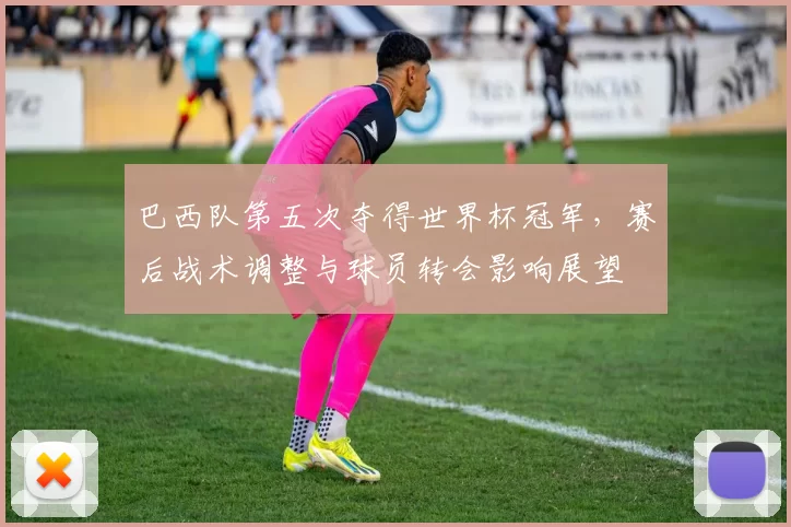 巴西队第五次夺得世界杯冠军，赛后战术调整与球员转会影响展望