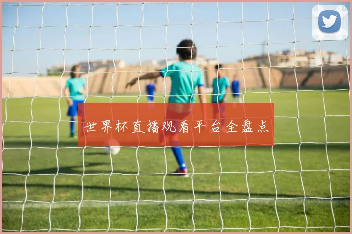 世界杯直播观看平台全盘点
