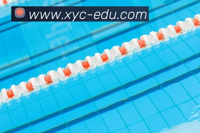 qy球友会网页·最新(中国)官方网站平台生态图